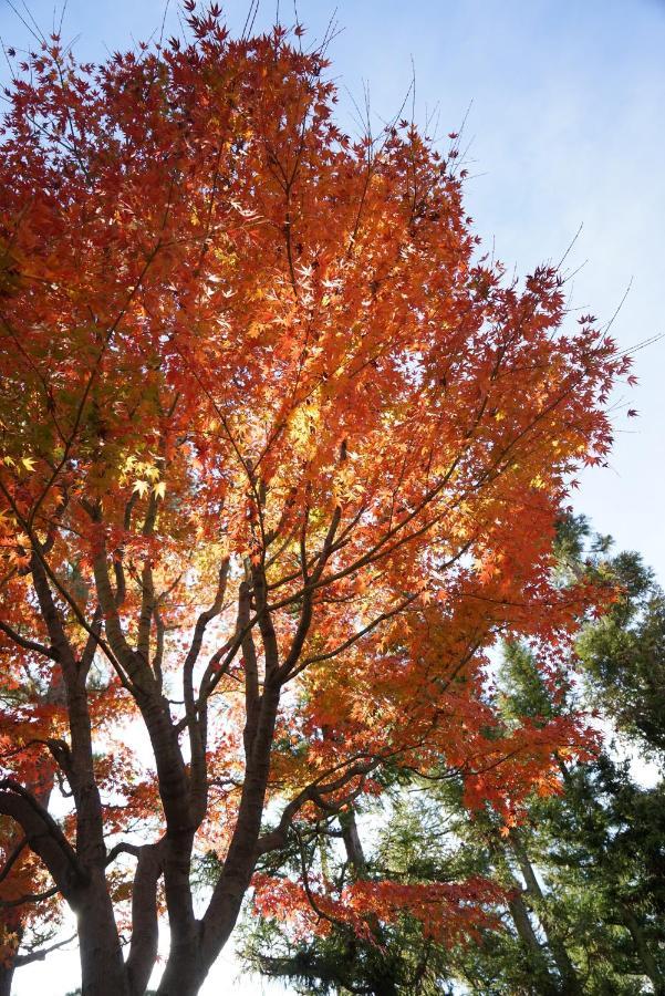Villa Japaning Senkyu Kyōto Esterno foto