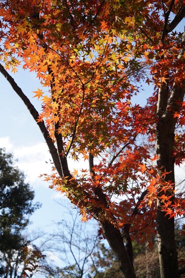 Villa Japaning Senkyu Kyōto Esterno foto